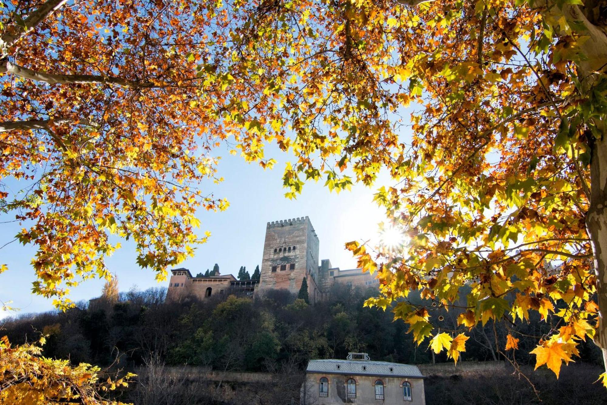 Luxury Alhambra Hideaway Apartamento *